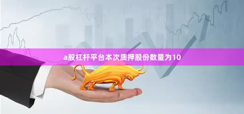 a股杠杆平台本次质押股份数量为10