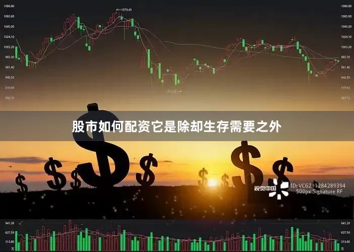 股市如何配资它是除却生存需要之外