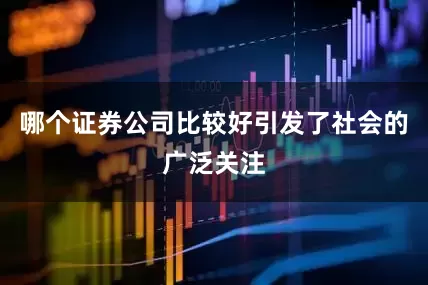 哪个证券公司比较好引发了社会的广泛关注